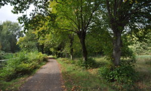 Brookwood Country Park