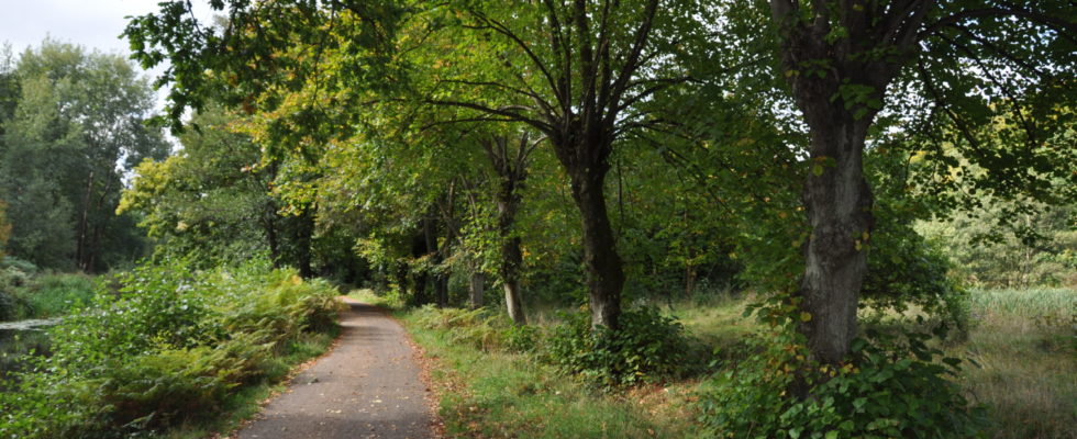 Brookwood Country Park