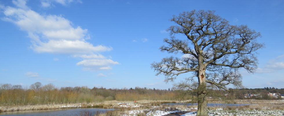 Edenbrook Country Park