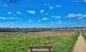 May's Farm Meadows