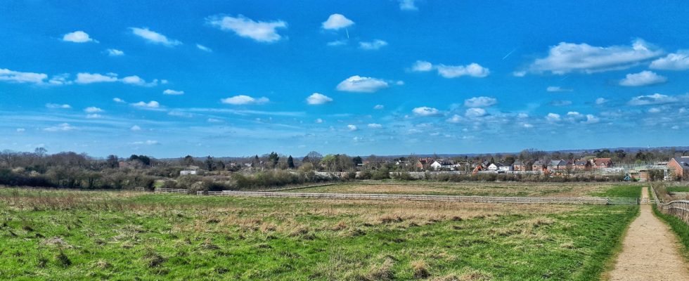 May's Farm Meadows