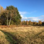 Autumn day at Bisley Common