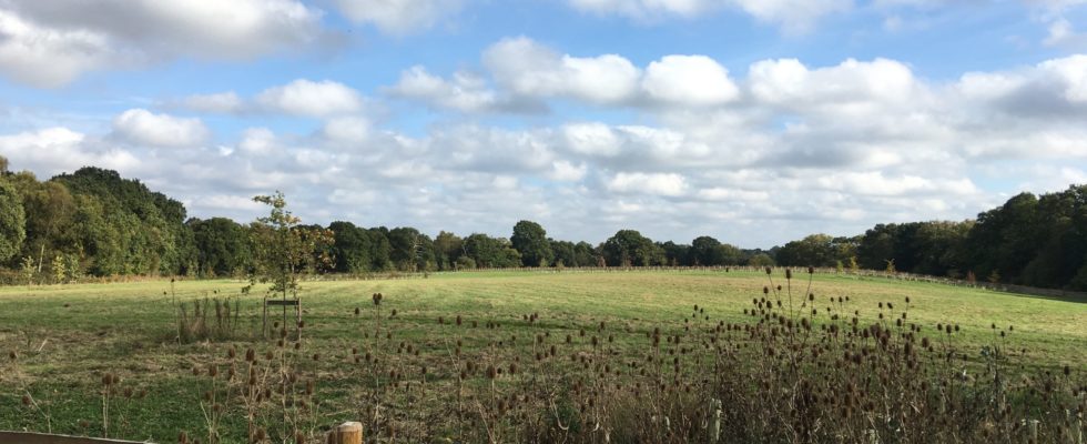 Chertsey Common, Longcross