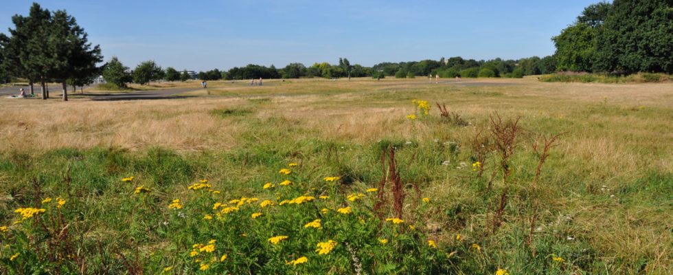 Brooklands Community Park