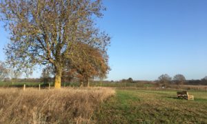 Frost Folly Park