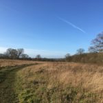 Photo of a meadow in winter.