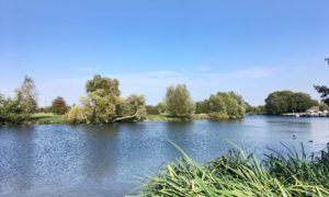 View of the River Thames from Chertsey Meads