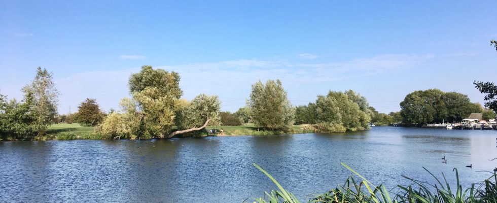 View of the River Thames from Chertsey Meads