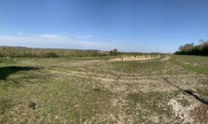 Photograph of greenspace at Runfold Ridge, showing green meadows