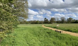 Photograph of a meadow with bench and noticeboard