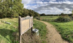 Panorama of the view across pay area and meadow