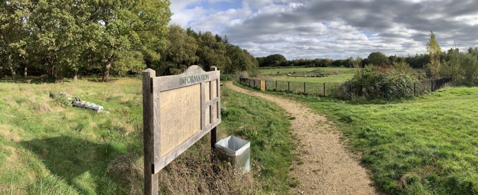 Panorama of the view across pay area and meadow