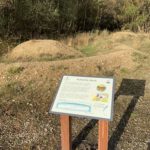 Photo of gravel bank and information board