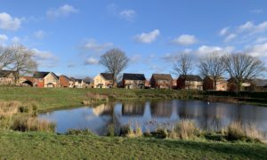 Photo of a large pond with housing around the perimeter