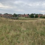 Photo of a viewing platform in a late summer meadow with houses in the background.