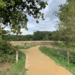 Photo of a park with gravel paths, meadow, hedgerows and mature trees