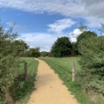 Photo of a park with gravel paths, meadow, hedgerows and mature trees