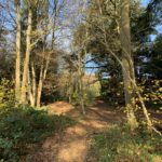 Photo of a woodland path.