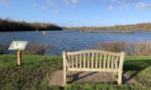 Photo of a bench looking out across the lake.