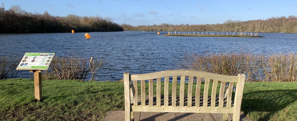 Photo of a bench looking out across the lake.