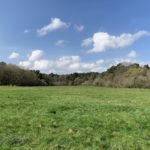 Photo of a large green field surrounded by trees and hedgerows.