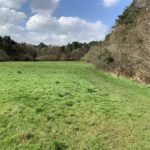 Photo of a large field and a hedgerow.