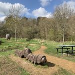 Photo of a spring scene with a tree coming into leaf. Picnic benches and wooden sculptures representing the life stages of a butterfly.