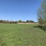 Photo of a spring scene with a green meadow against a blue sky