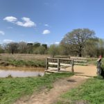 Springtime photo of a large open space, in the foreground is a wooden platform overlooking a small pond