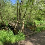 Photo of a wooden bridge crossing a stream. It crosses into a lush green woodland area.