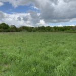 Photo of a large, flat, green meadow.