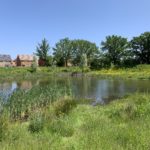 Photo of a large pond surrounded by green meadow, and houses beyond