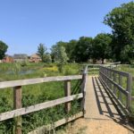 Photo of a wooden bridge in a green meadow