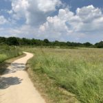 Photo of a green meadow with a surfaced path snaking through.