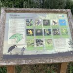 Photo of an information sign showing some of the wildlife here, such as Kingfisher, Whitethroat and Kestrel.