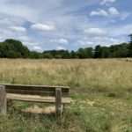 Photo of a bench looking out across the meadow.