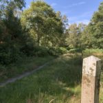 In the foreground of the photo is a wooden post with its top painted white.