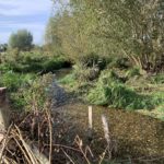 Photo taken looking down a clear, gravelly stream.