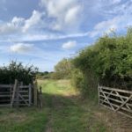 Photo looking through an open gateway to a green meadow