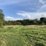 Photo of a large, green meadow with tall hedgerows and mature trees on the perimeter