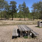 Photo shows picnic benches in a large open area. Rubbish bins too.